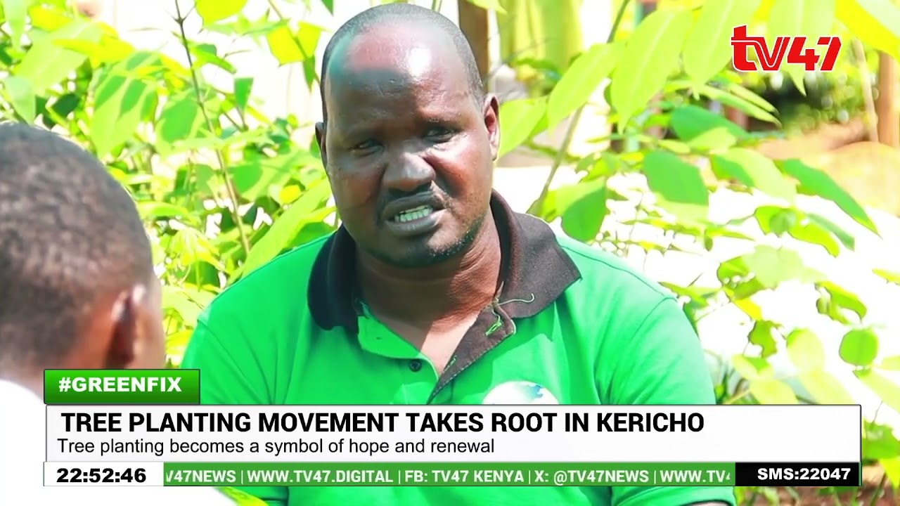 Backyard nursery fuels Kericho&rsquo;s Green Revolution