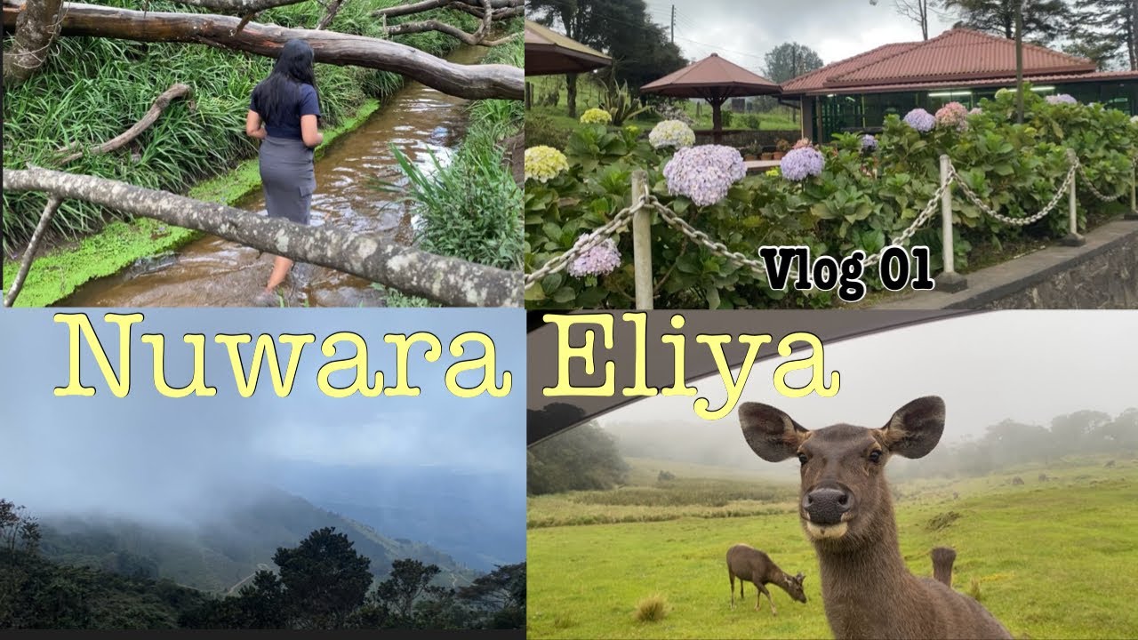 නුවරඑළියට යන අතරමග ලස්සන | Day 01 | Vlog 01 | Food by Shi | Nuwara Eliya🍀
