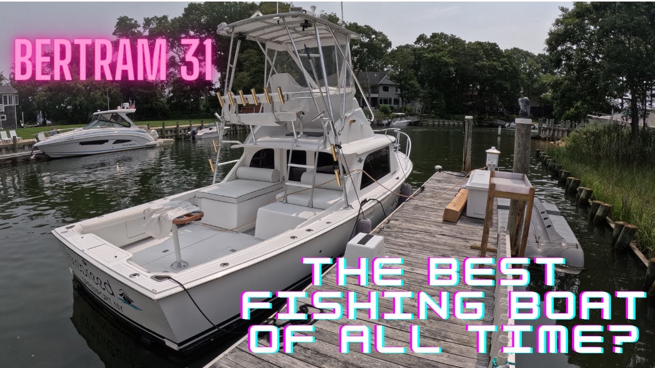 Bertram 31 - the Father of Modern Fishing Boats!