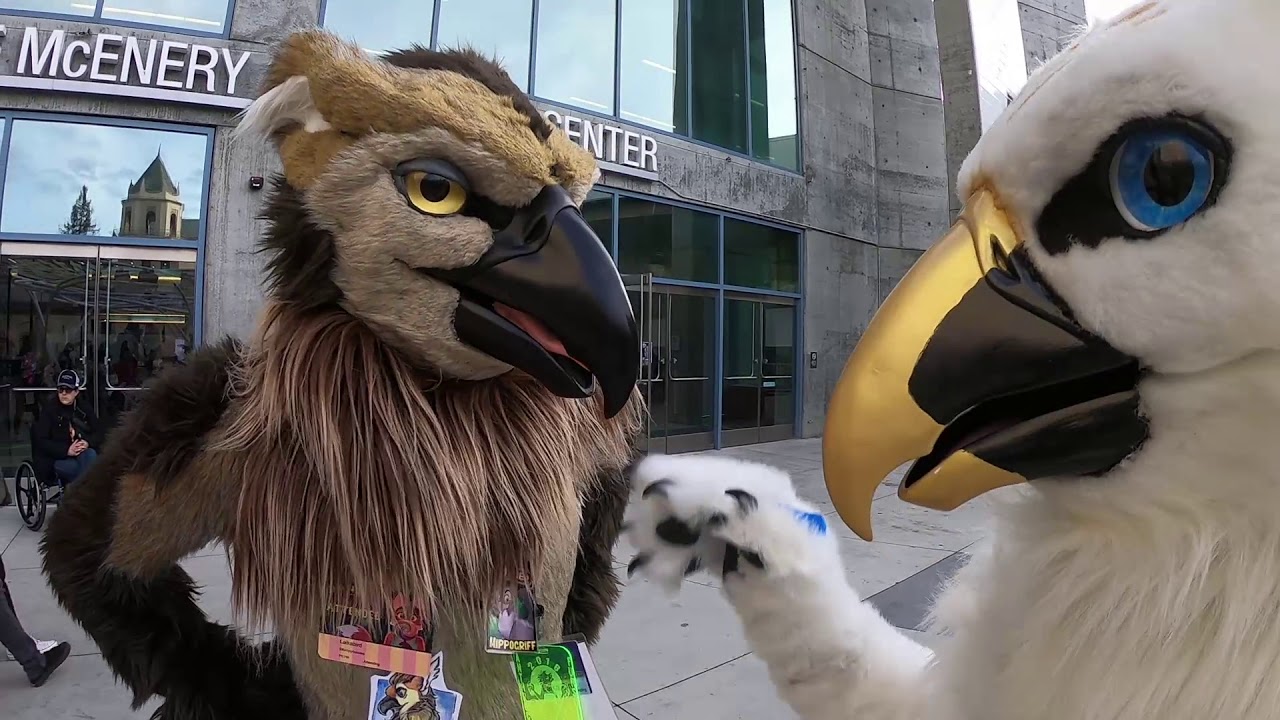 I met my fursuit crush!