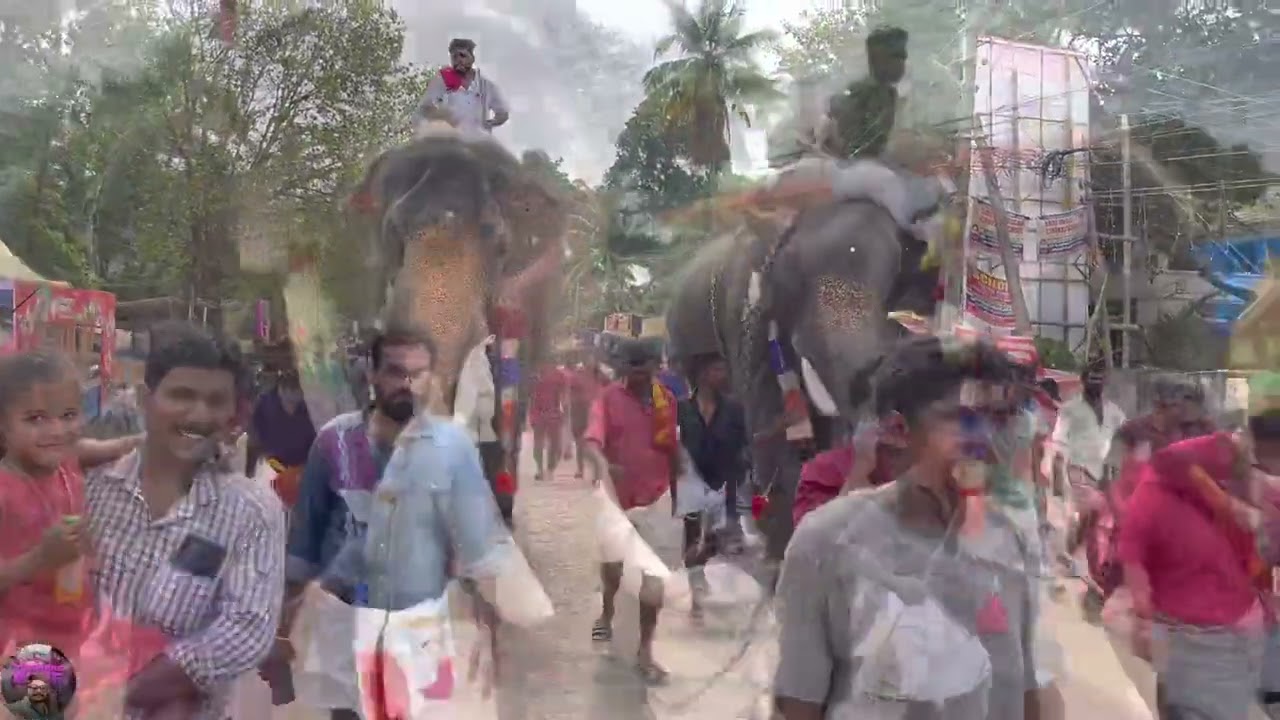 Aana kazhchakal/ puttingal temple Gajamela2023