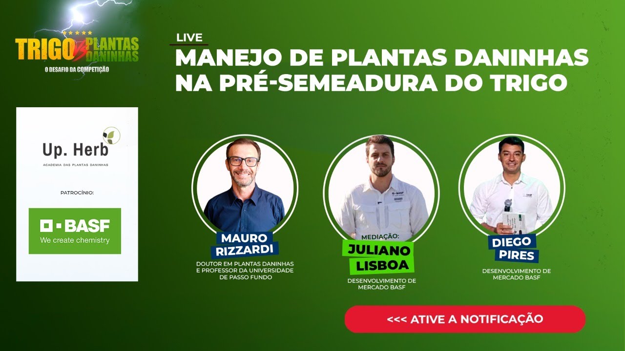 🔴 TRIGO VS. PLANTAS DANINHAS: Manejo de plantas daninhas na pré-semeadura do trigo
