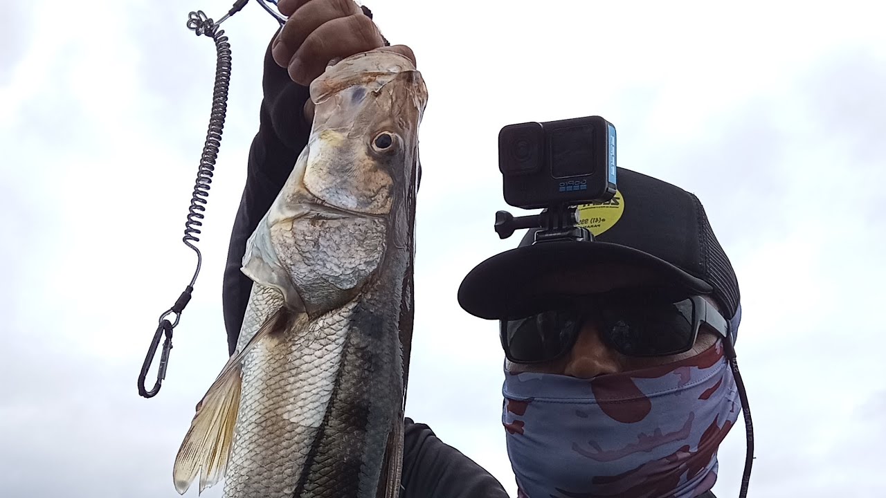 Pescaria no mangue rio da vila paranagua 