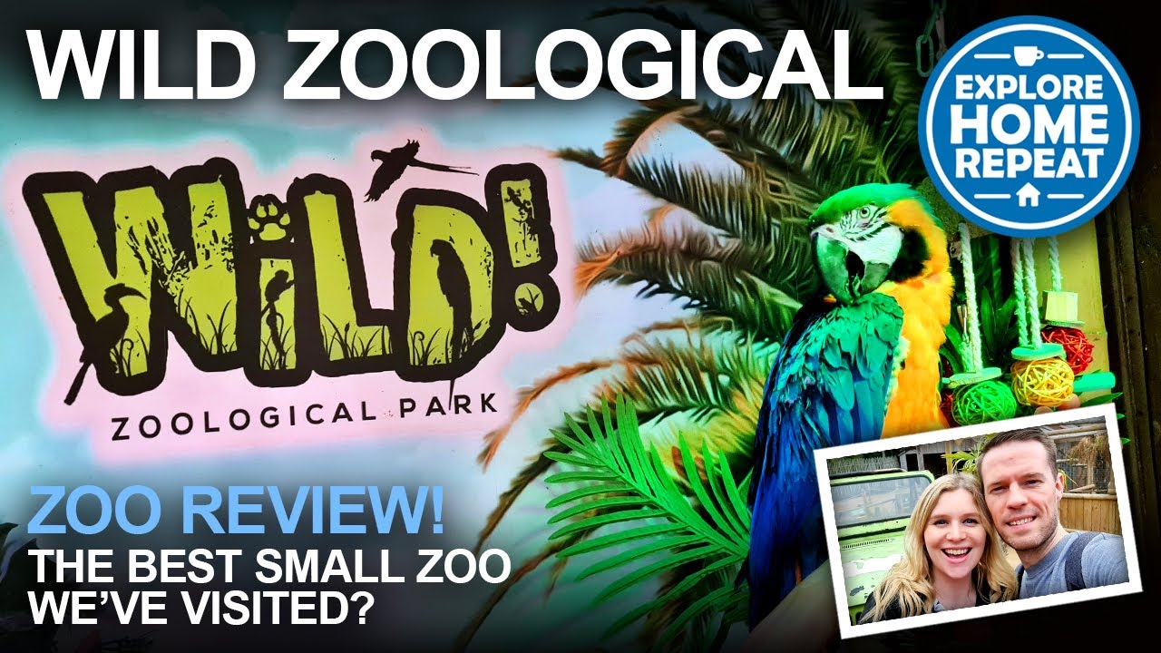 The UK's BEST Small Zoo? | Wild Zoological Park | Zoo Review & Full Tour | UK Travel Vlog