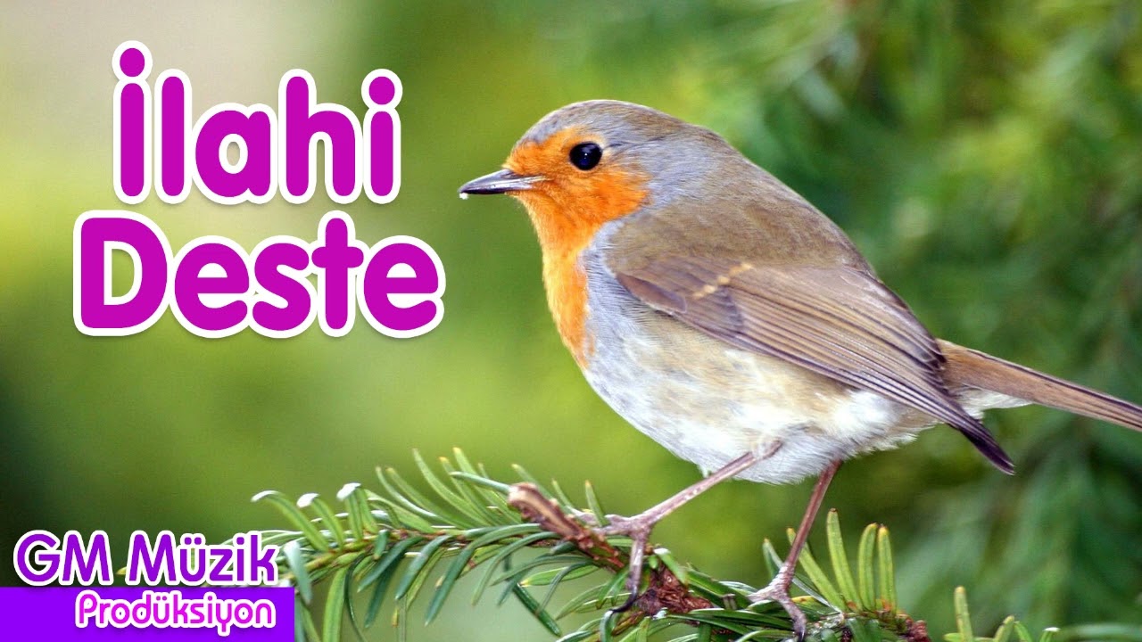 İlahi Deste 💖 İlahi Keyfi 💖 Karışık En Güzel İlahiler 🌹 GM Müzik Produksiyon