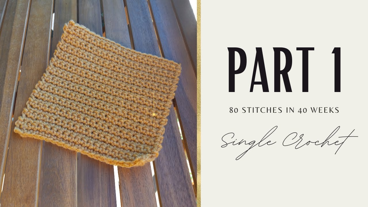 How to do a Single Crochet || 80 Stitches in 40 weeks Pt. 1 ||