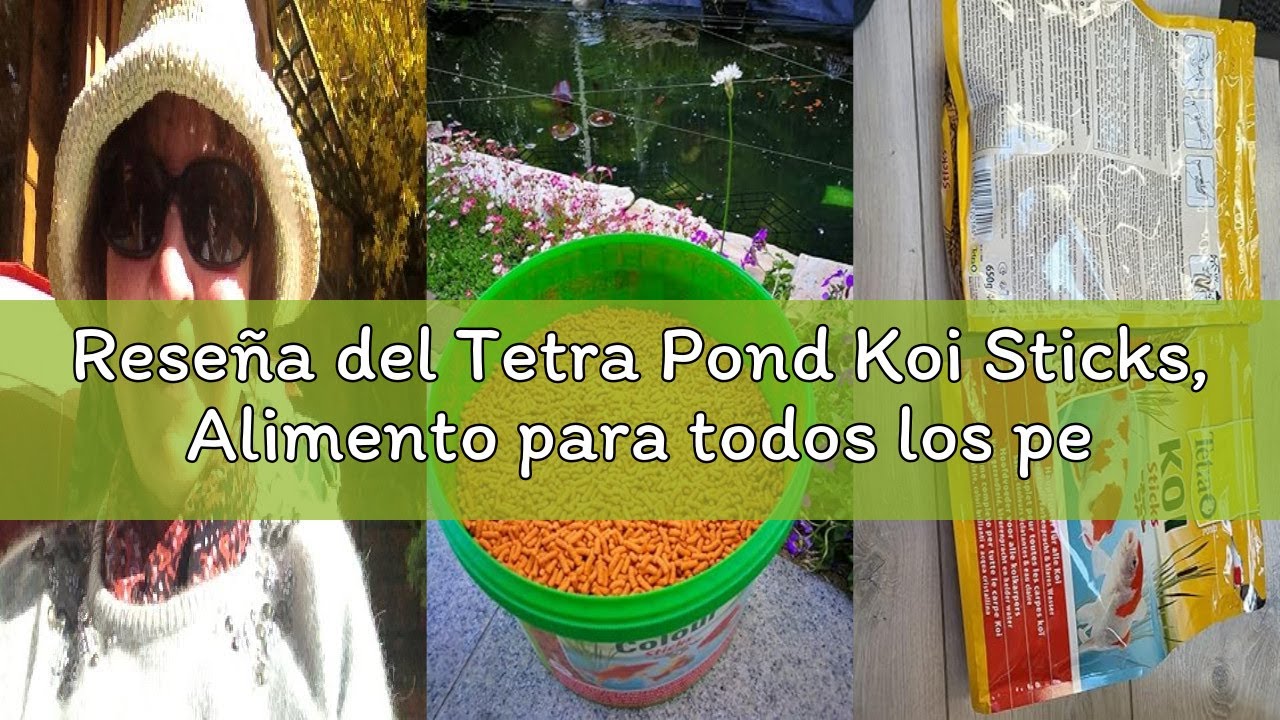 Reseña del Tetra Pond Koi Sticks, Alimento para todos los peces Koi, para peces sanos, colores inten