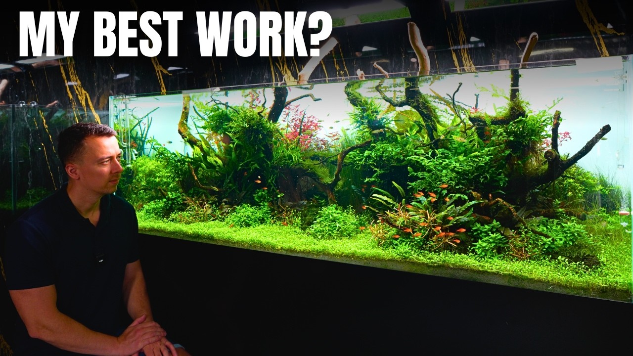 THE BEST AQUASCAPE I'VE EVER CREATED? Epic 6ft Aquascape Tutorial