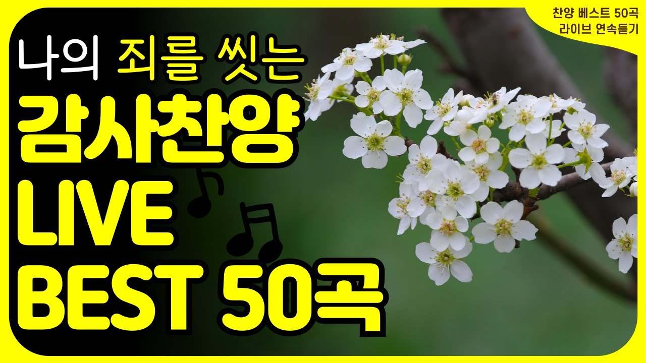 [감사 찬양 베스트 50곡 💖] | LIVE ♬| 나의 죄를 씻는 감사 찬양! ♬ | 평안과 은혜를 경험하세요! | 은혜로 불면증 치료를 | 2월