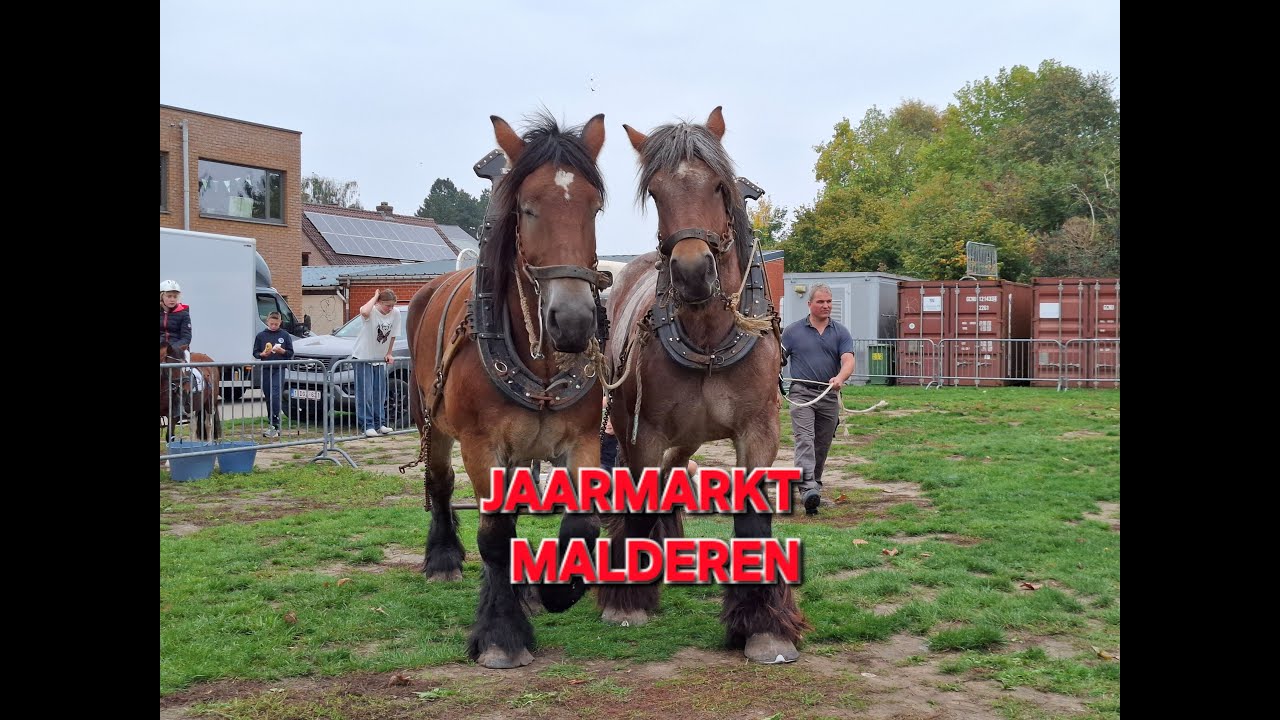 Jaarmarkt in Malderen 2025