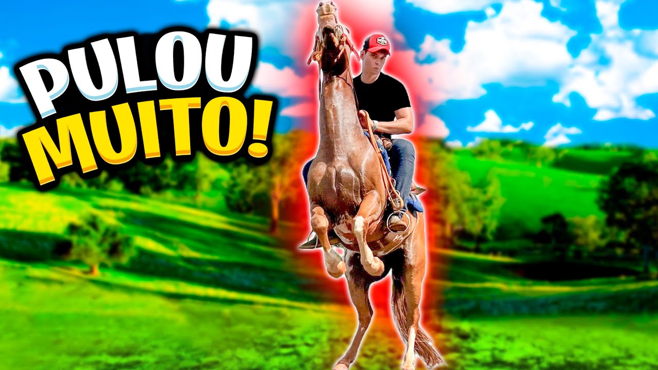 MUITO DIFÍCIL Ficar EM CIMA desse CAVALO