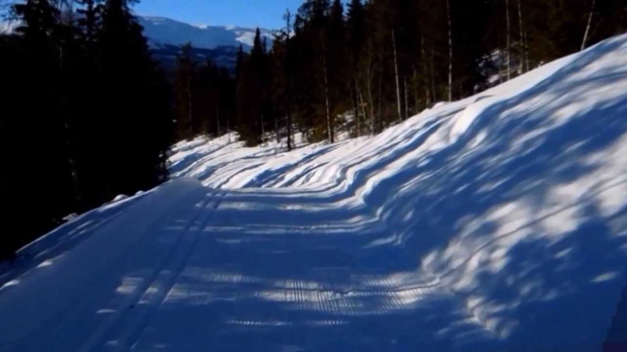 Cross-country ski tour from Dalseter.