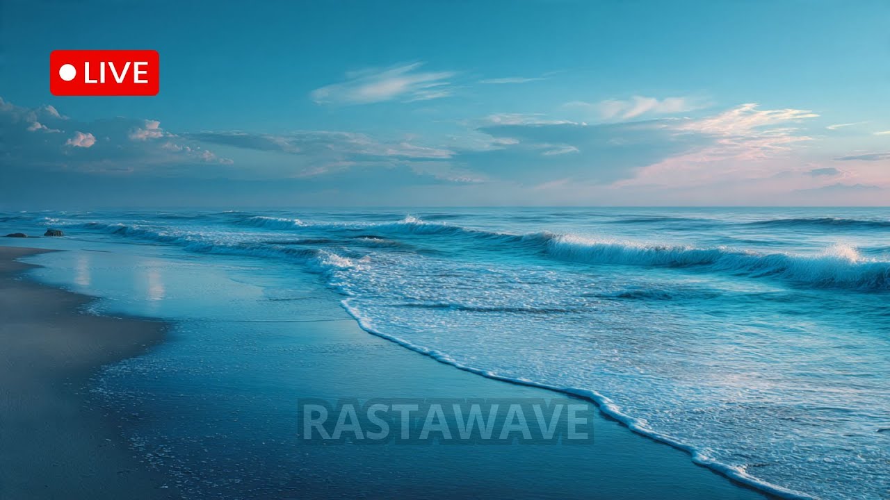 Peaceful Reggae Live Music – Background Chill for Focus