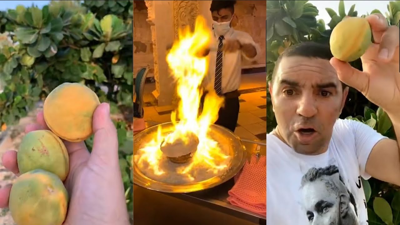 ابو الفدا / فلوق في القطيف مزرعة اللوز واحلى مطعم اسطورة القلعة في تاروت