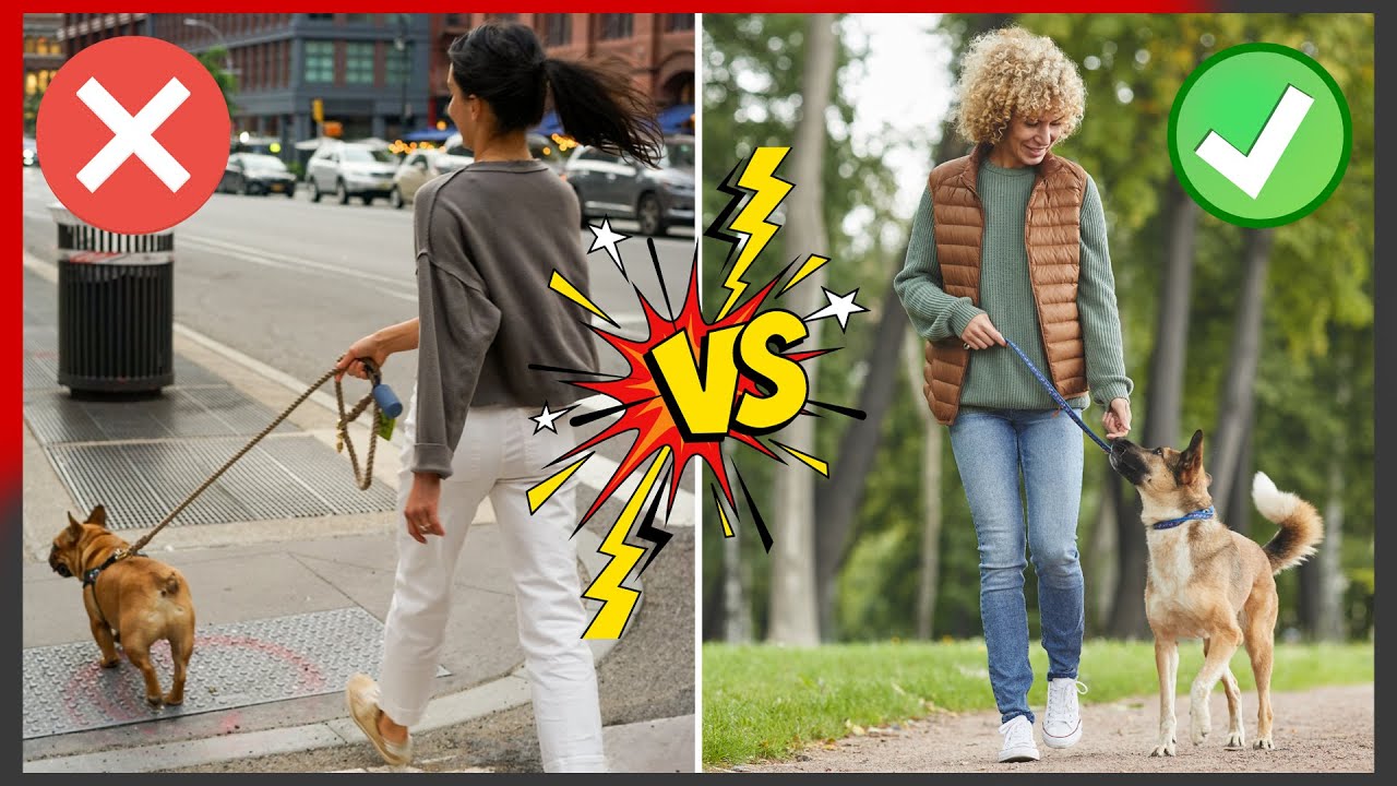 CUIDADO! 🚨 ¿Tu PERRO se ADELANTA al PASEAR? ¿Qué SIGNIFICA? ¿Es MALO? 😰