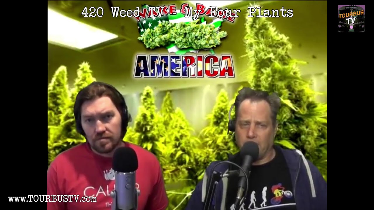 420 Weed TV - My Four Plants - The Adventures of Robin Weed