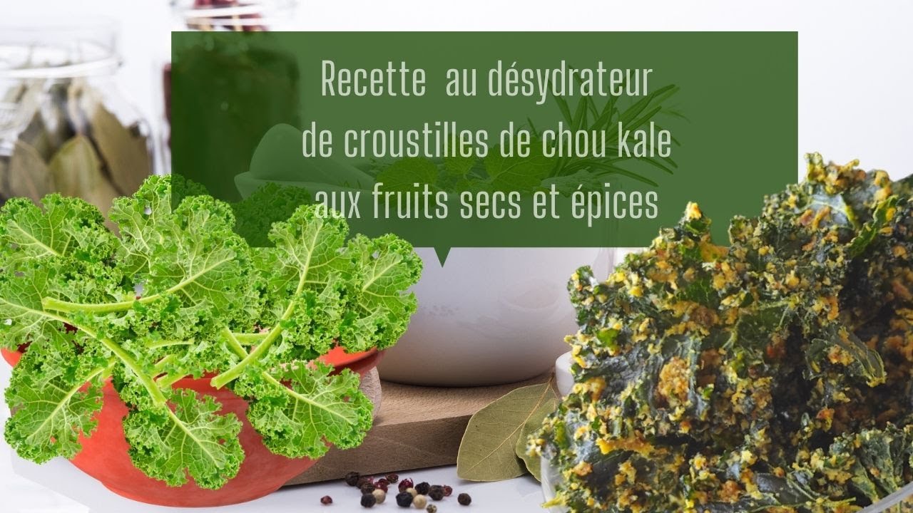 Recette  au déshydrateur de croustilles de chou kale aux fruits secs et épices