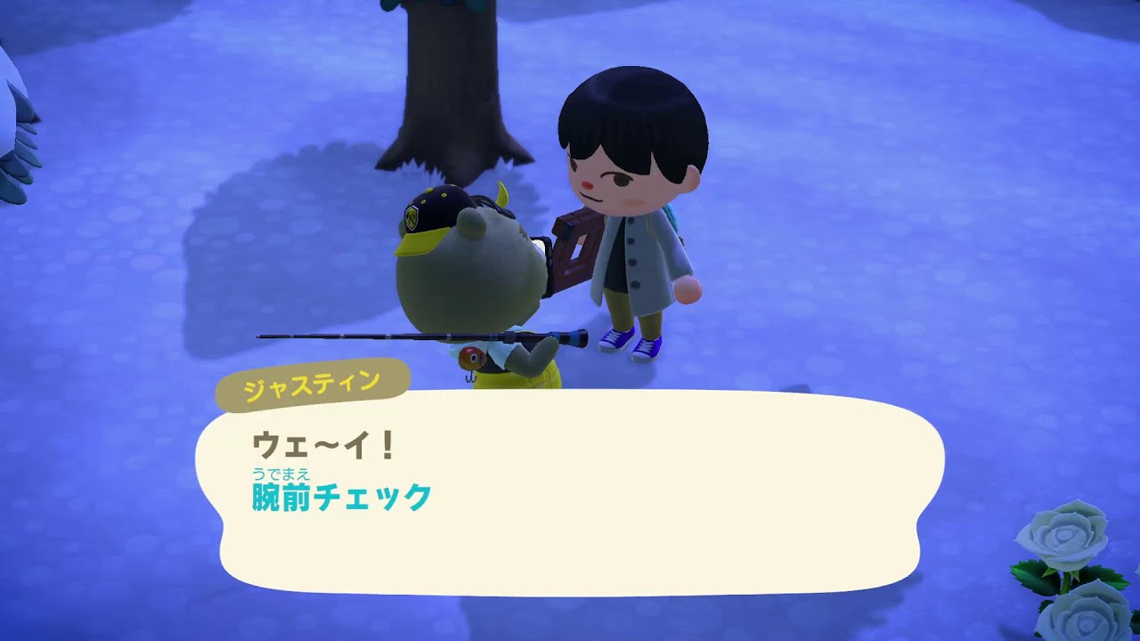 6年ぶりに島の様子を見に行こう【あつまれどうぶつの森】