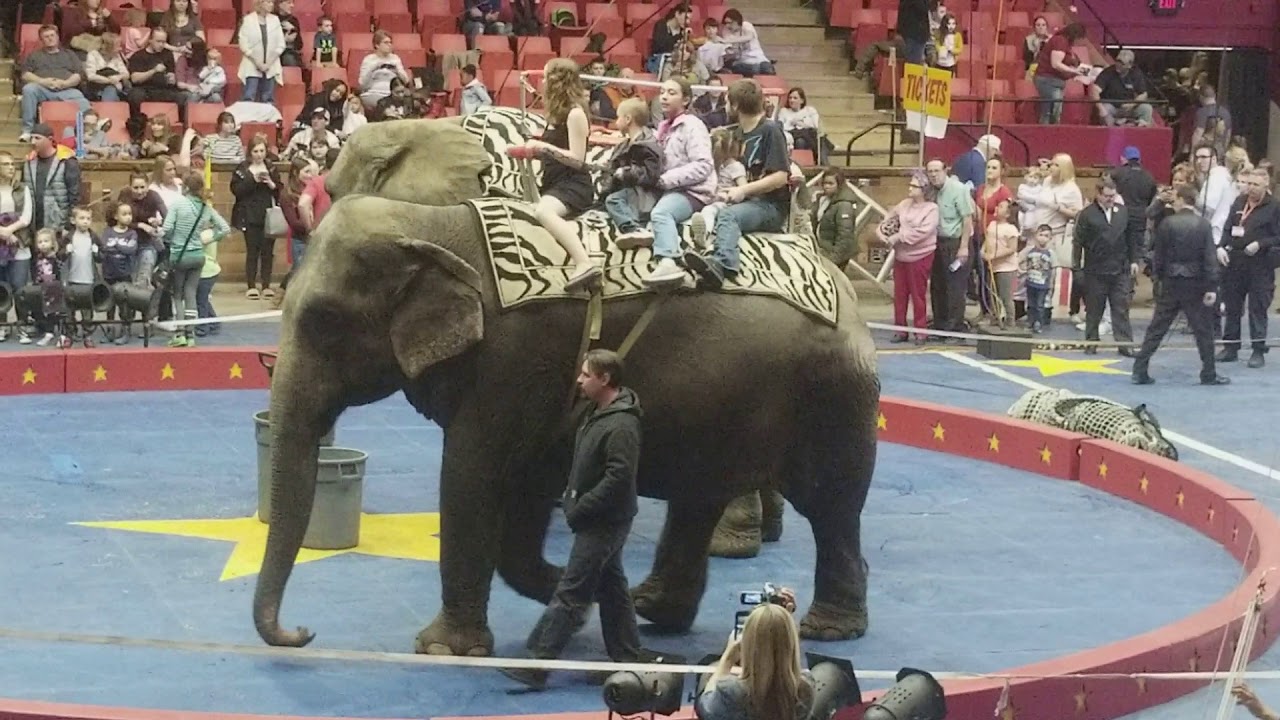 CIRCUS ELEPHANTS: Elephant Rides Onboard Asian & African Elephants, CANTON TADMOR SHRINE, 3/24/18.