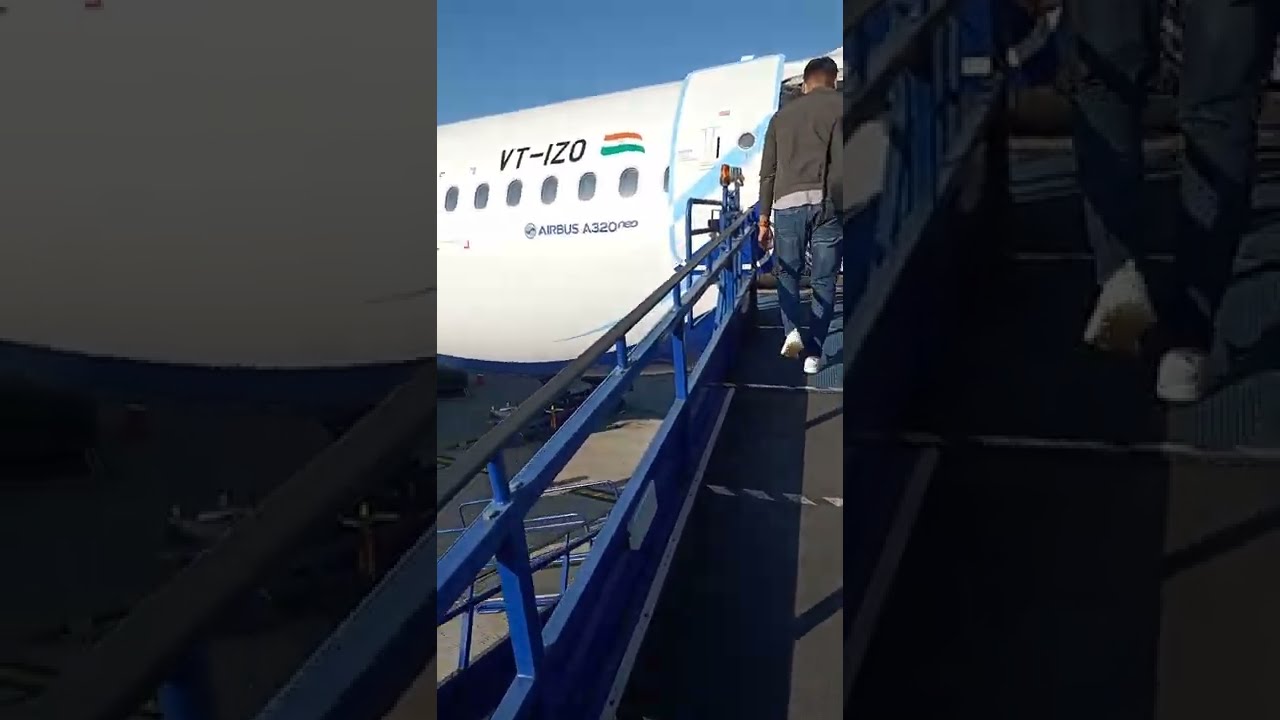 Indigo