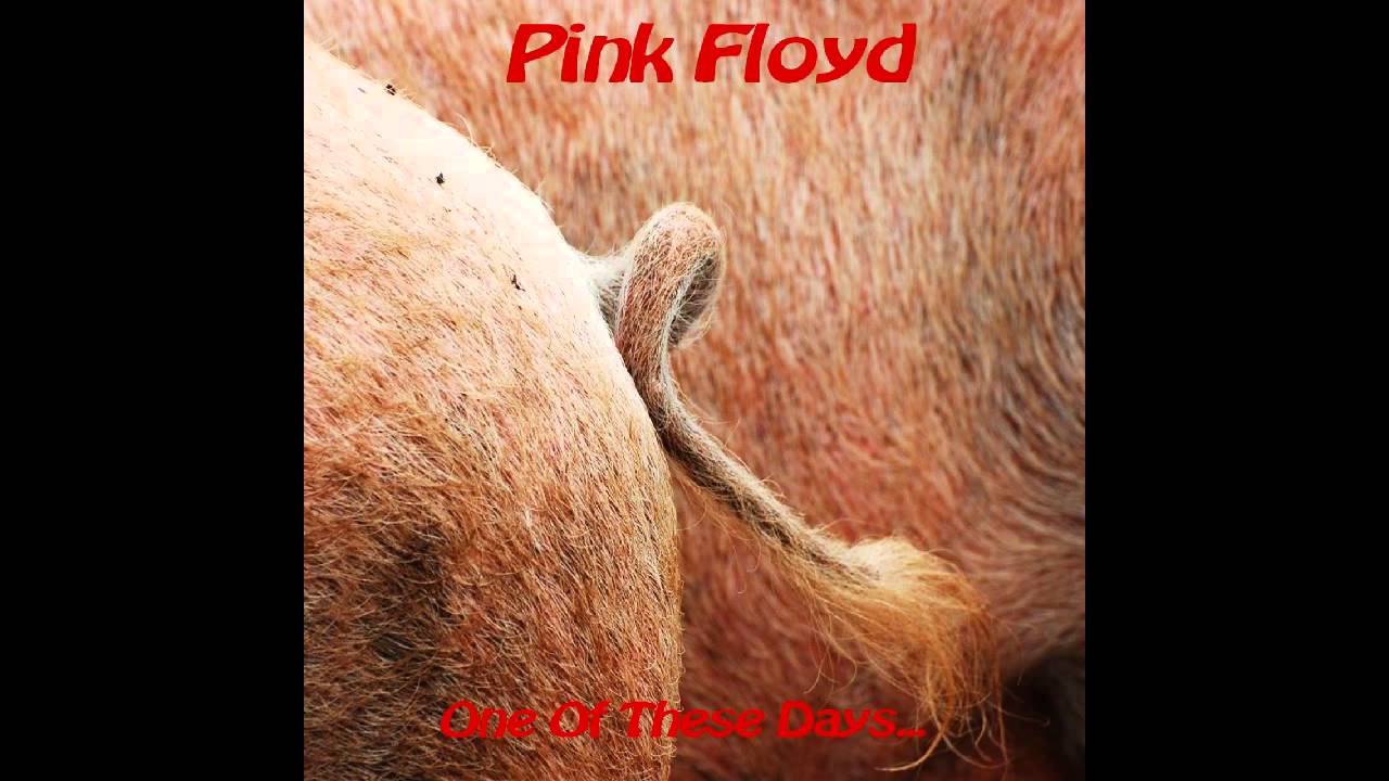 [♫] One of These Days - Pink Floyd Backing Tracks