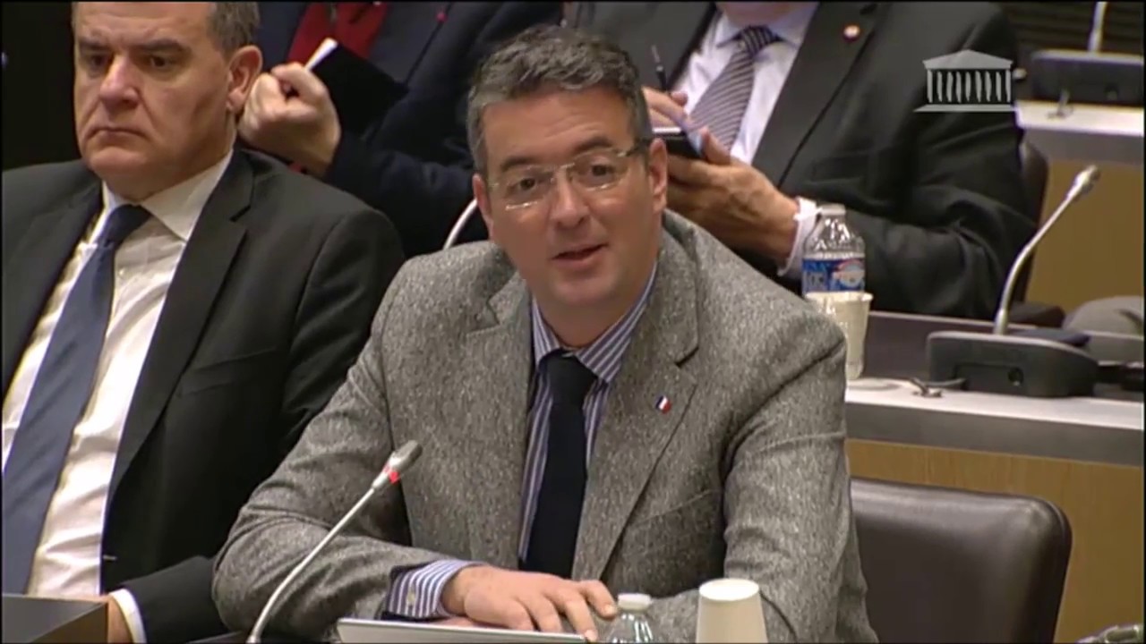 2017-01-18 - Commission économique : Audition de Louis Schweitzer