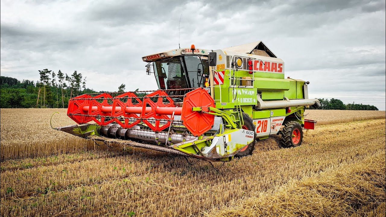 Claas Mega 218 • Žně 2025 • [GoPro, Driver View]