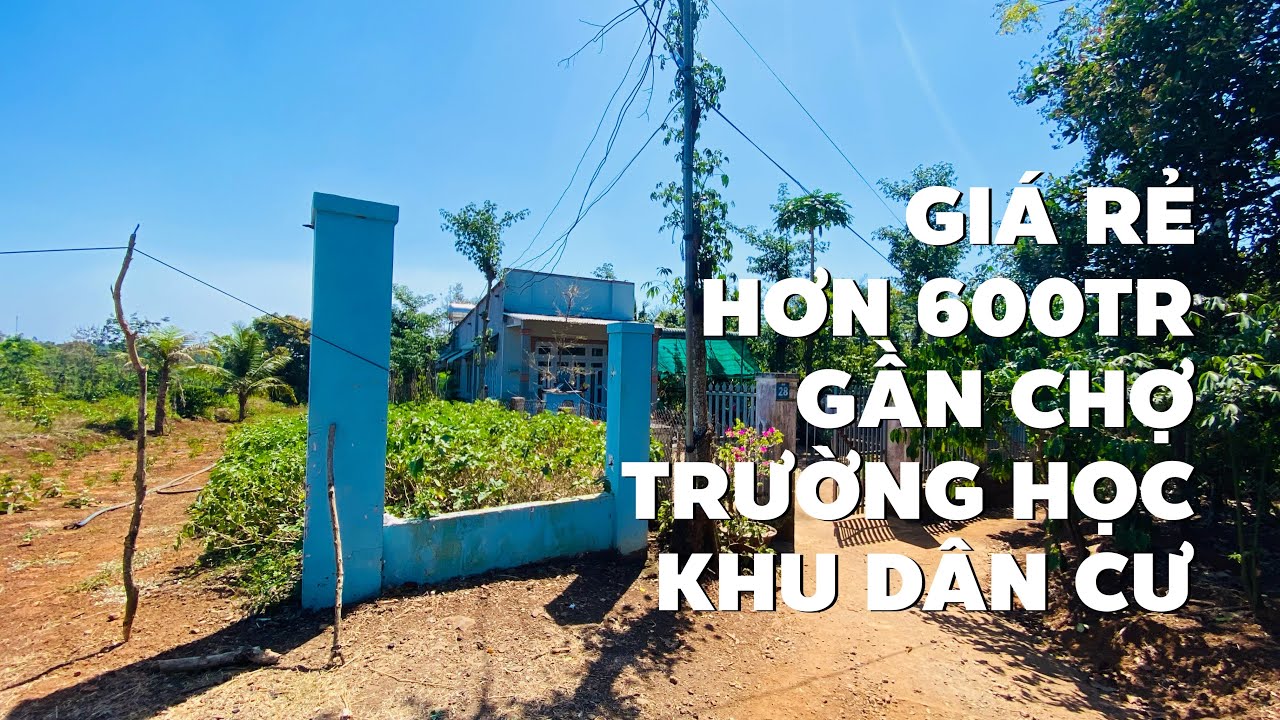 Cũng vì cờ bạc mà phải cắt bán rẻ đất vườn BR-VT gần chợ trường học