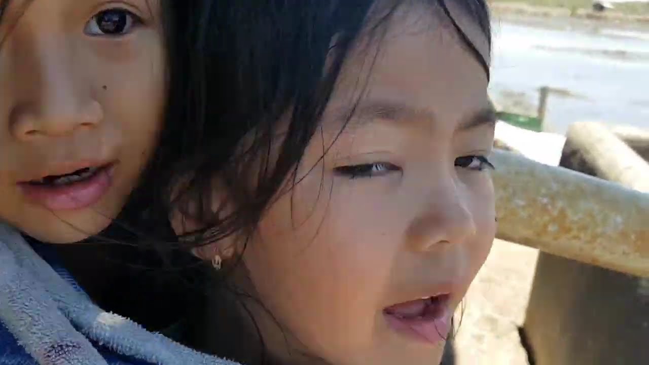 How they harvest fish at the pond. Witnessing for the first time.