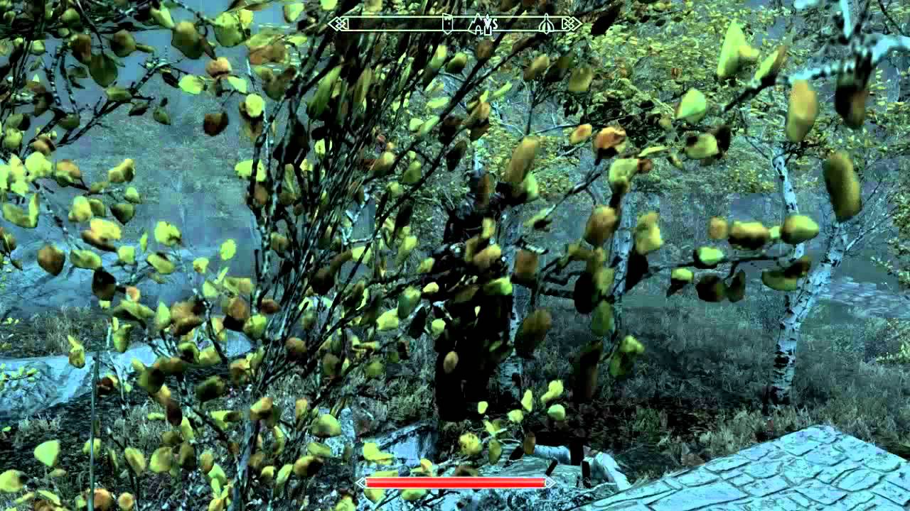 The Elder Scrolls V: Skyrim &mdash; Часть 11