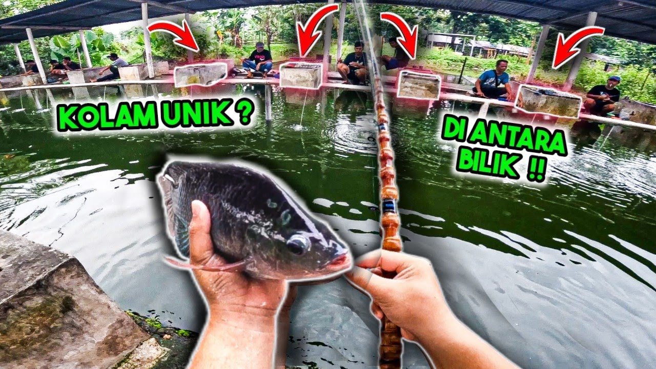 KOLAM UNIK! Mancingnya di Antara Bilik Bilik? Galatama Nila Sombi Jogja
