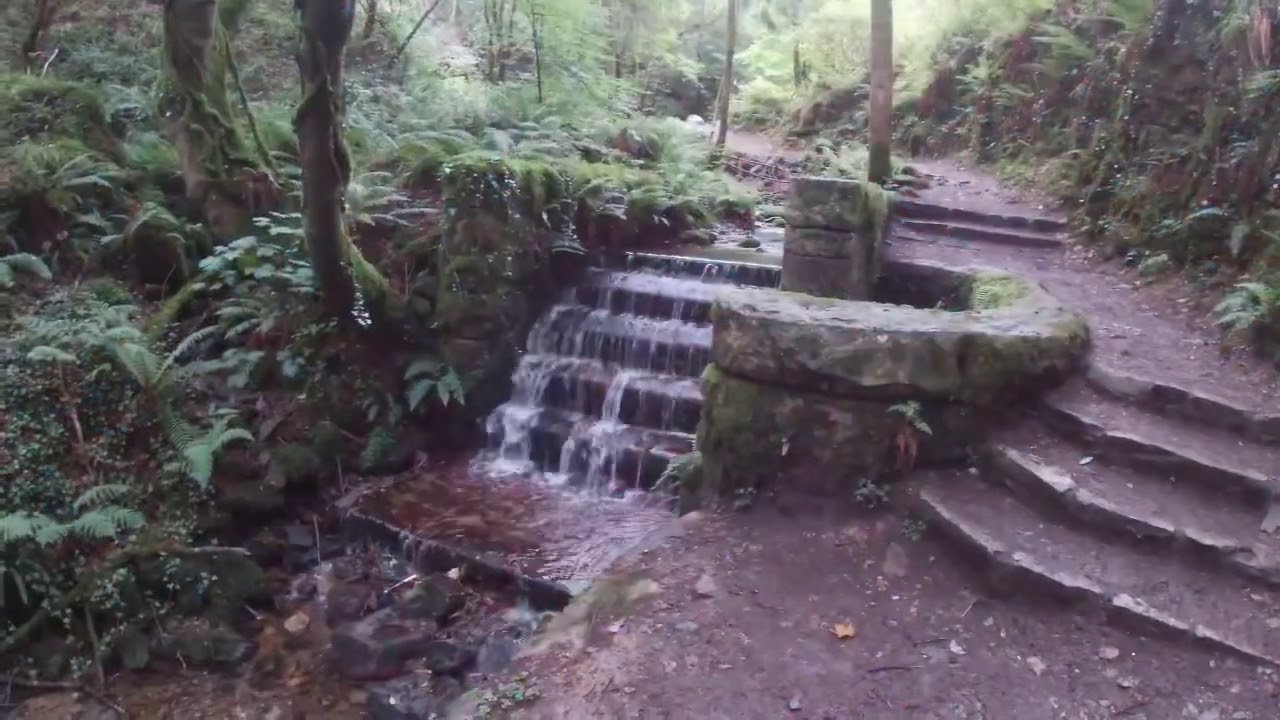 Kilbroney Forest Park 2020