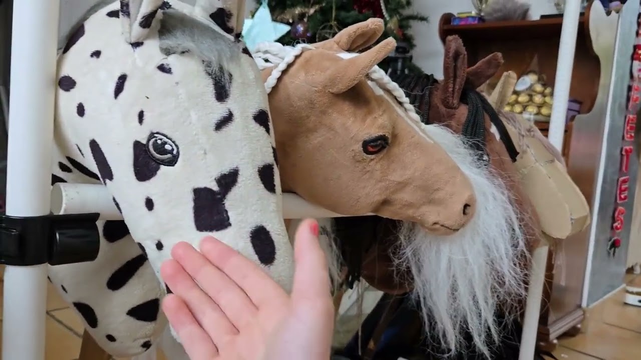 Présentation de mes hobby horse