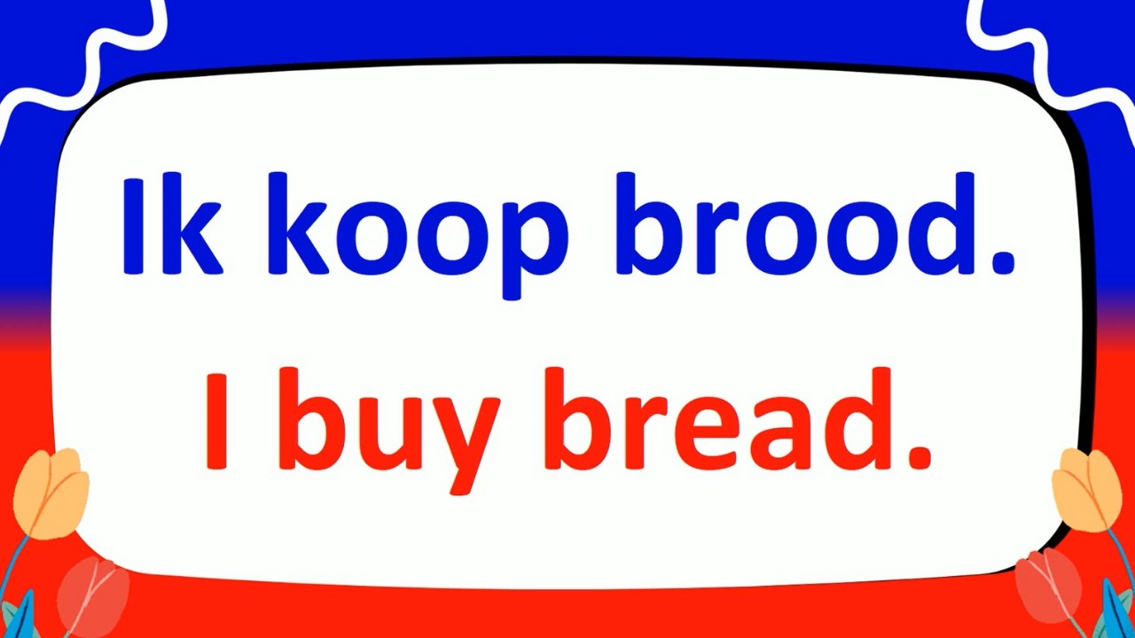 Learn 300+ Basic Dutch Phrases Fast for Everyday Conversations