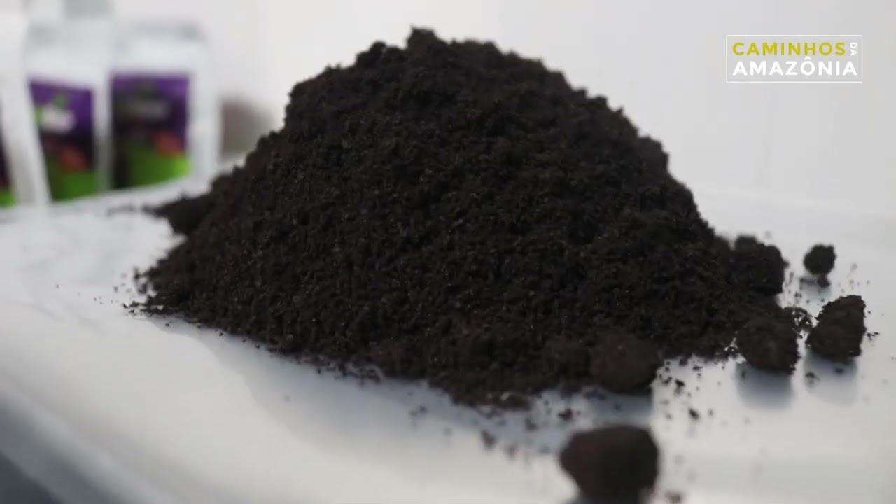 AÇAÍ EM PÓ DE HUMAITÁ