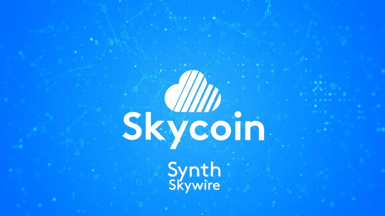 Skycoin Synth Speaks: Skywire, Blockchain 3.0, and the Future Business & Telecommunications