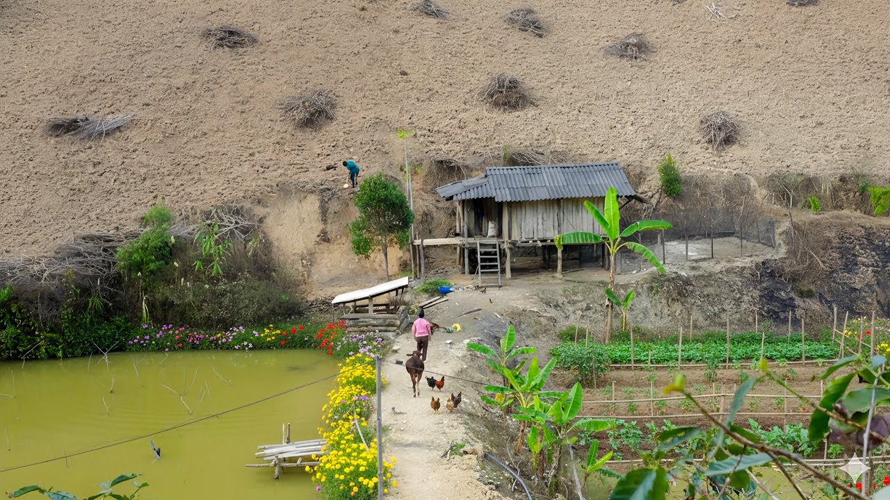 Peaceful Paradise in the Mountains – Village Life Free from City Pollution