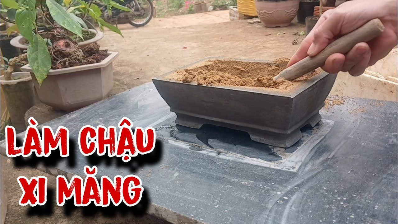 Làm chậu xi măng, Cách làm chậu bằng xi măng trồng cây 