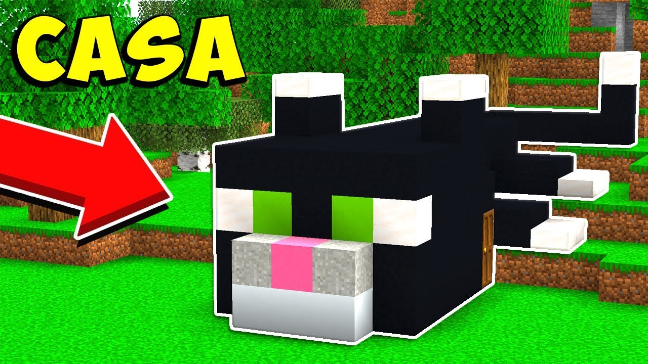 LA NUOVA CASA DEL GATTO - Minecraft ITA