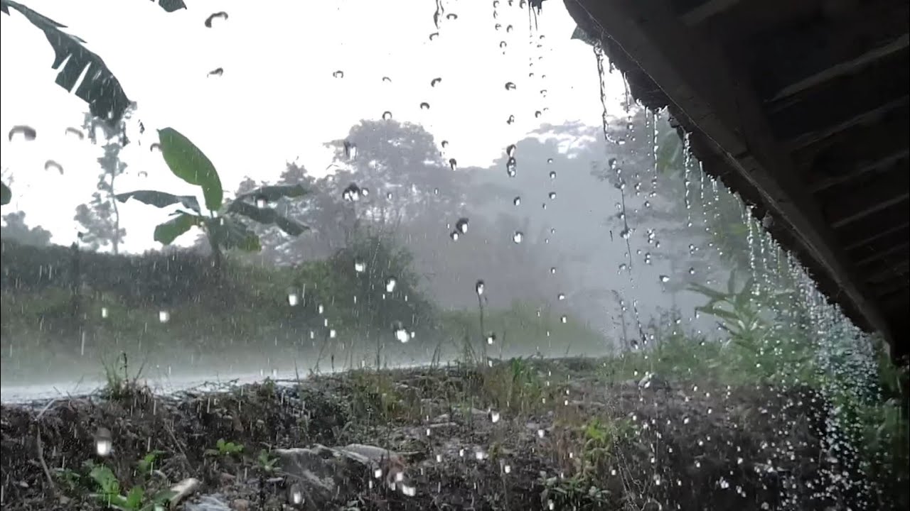Rain Sounds for Sleep 🌧️ Heavy Rain on the Roof — Natural White Noise (1 Hour)