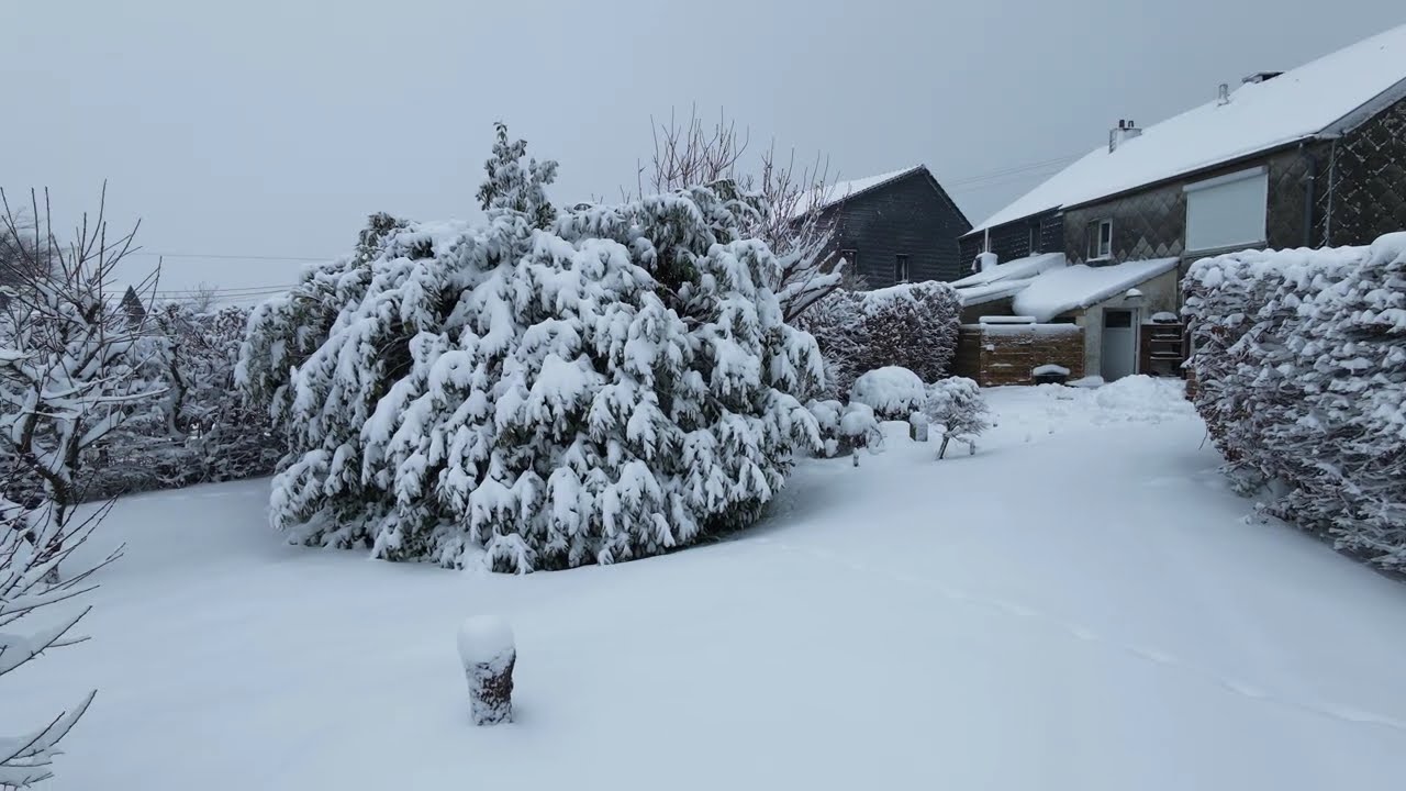 Survol du jardin enneigé DJI Neo 2...