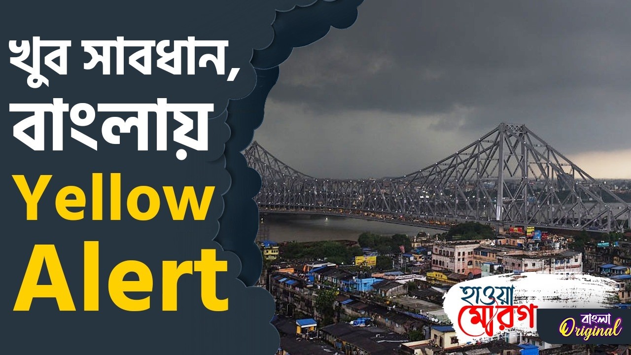 Rain Update, Weather News: বজ্রপাত থেকে সাবধান, দক্ষিণ থেকে উত্তর কোনও জেলাই বাদ যাবে না | #TV9D