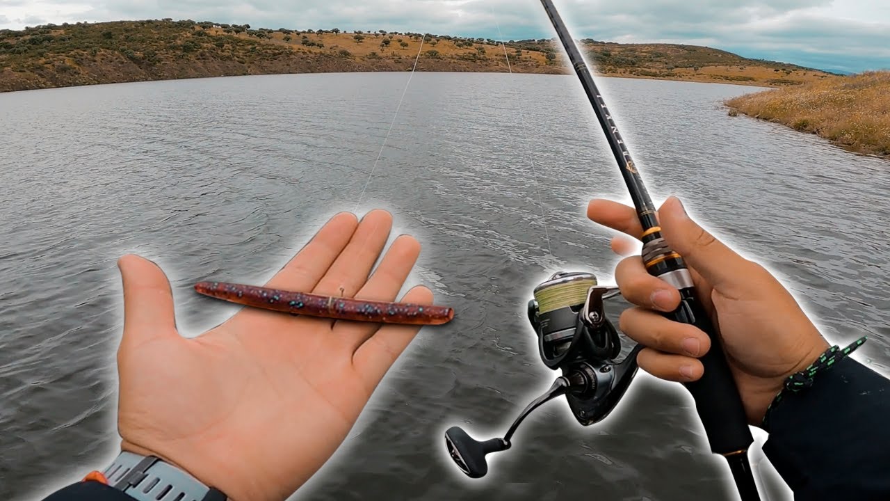 PESCO con esta TÉCNICA ESPECIAL, le PICAN todos los BLACK BASS