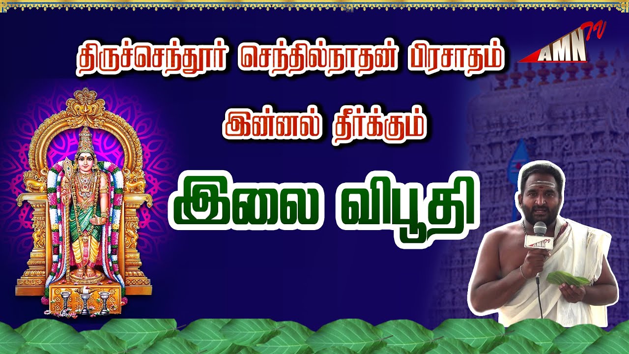 திருசெந்தூர் முருகன் கோவில் பன்னீர் இலை விபூதி | Thiruchendur Murugan Temple Paneer Leaf Vibhuti