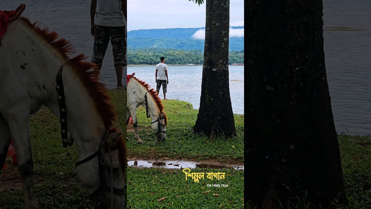 Shimul Bagan, Sunamganj #Sylhet #Sunamganj #Bangladesh #Shimulbagan #TanguarHaor #Tekerghat