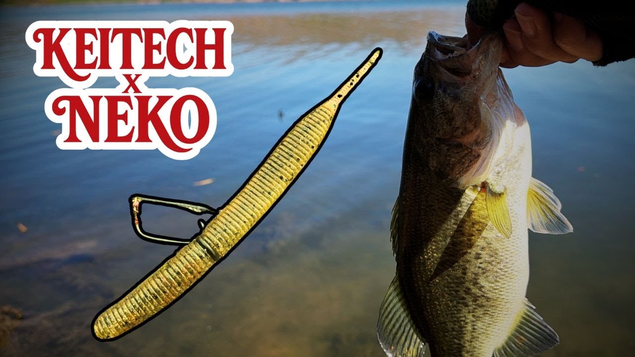 The Perfect Baitcaster Neko Rig - KEITECH Sexy Impact 4.8”