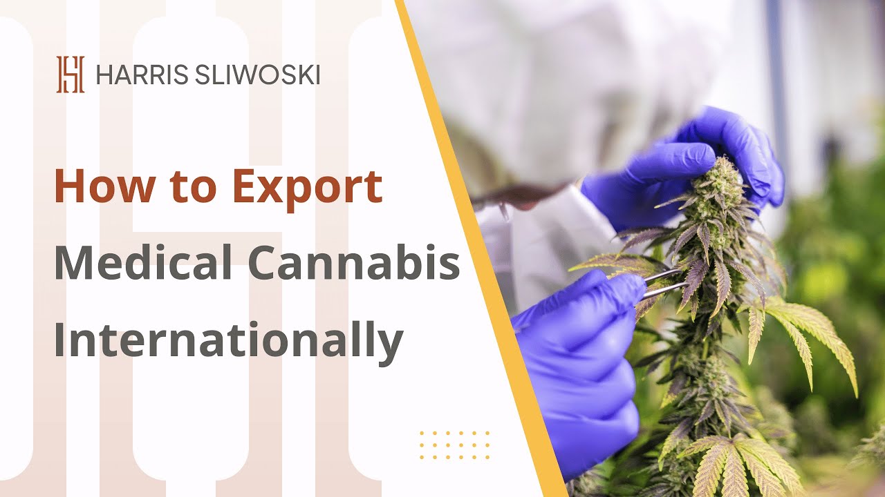 How to Export Medical Cannabis Internationally