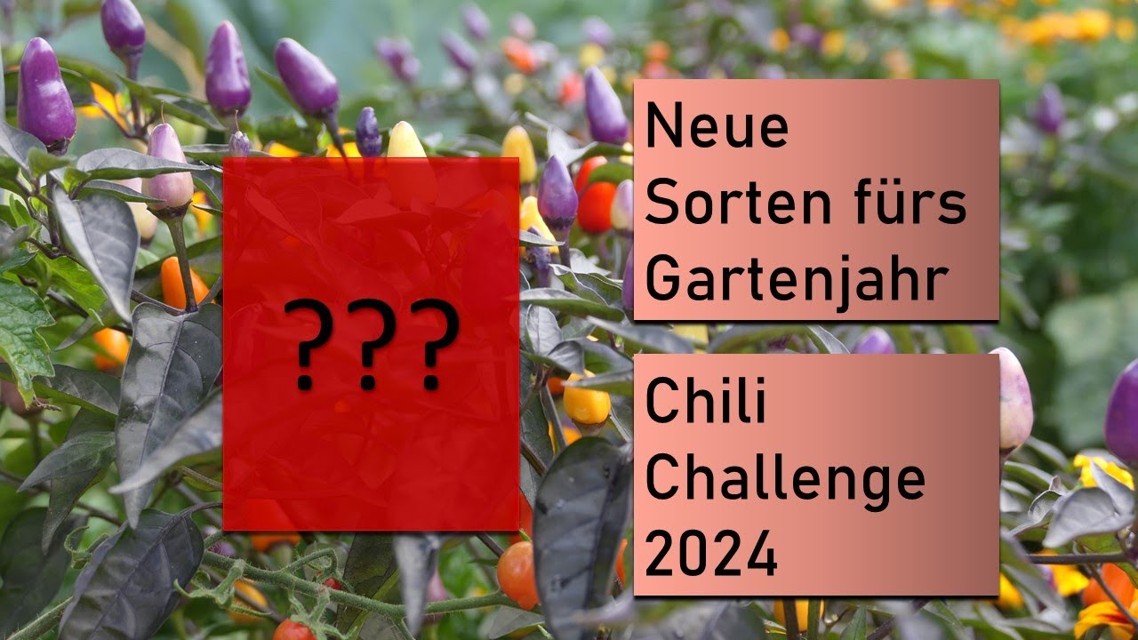 Start ins Gartenjahr 2024 und in die Chili Challenge