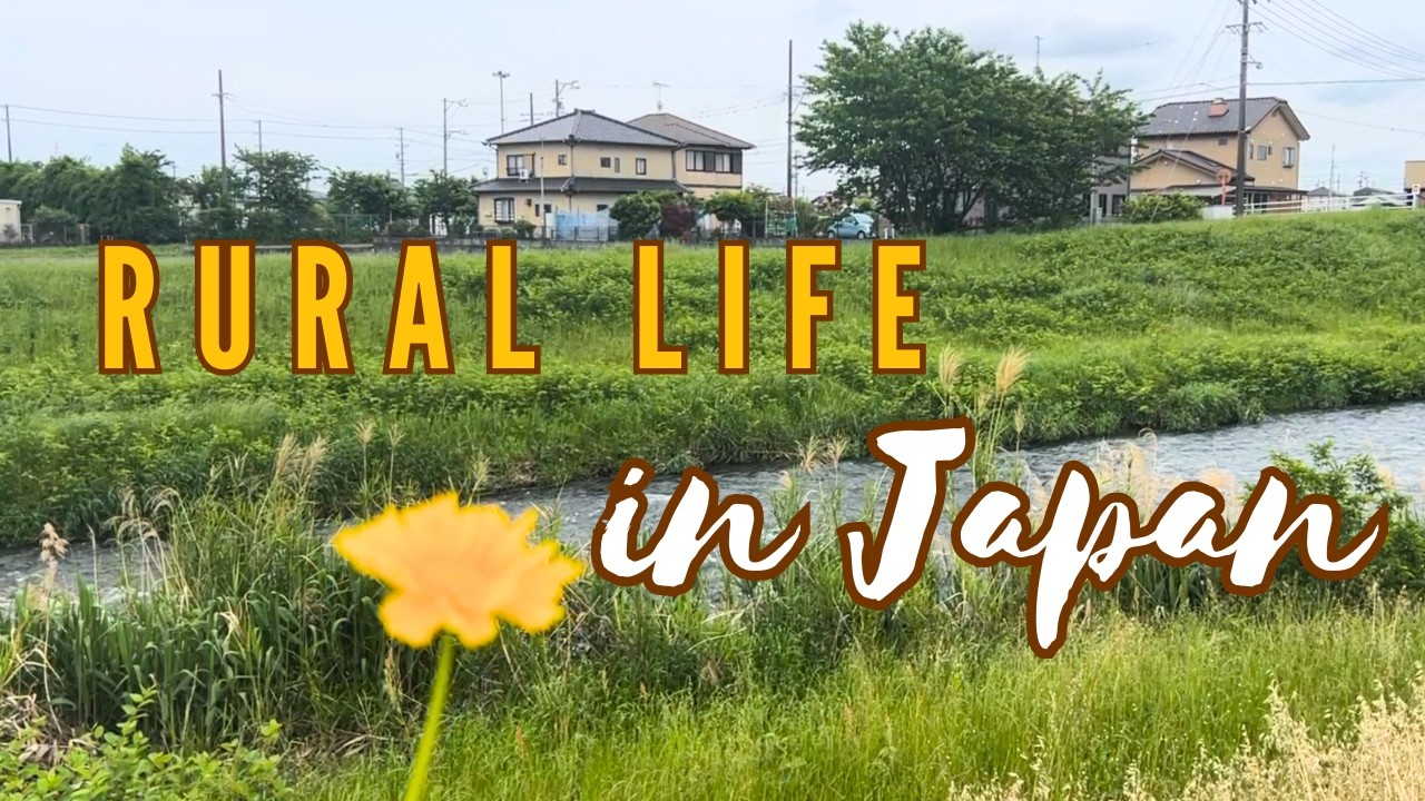 🇯🇵 7000￥ Grocery Haul for 2 for a Week | Life in Japan in a Rural City in Shizuoka Prefecture