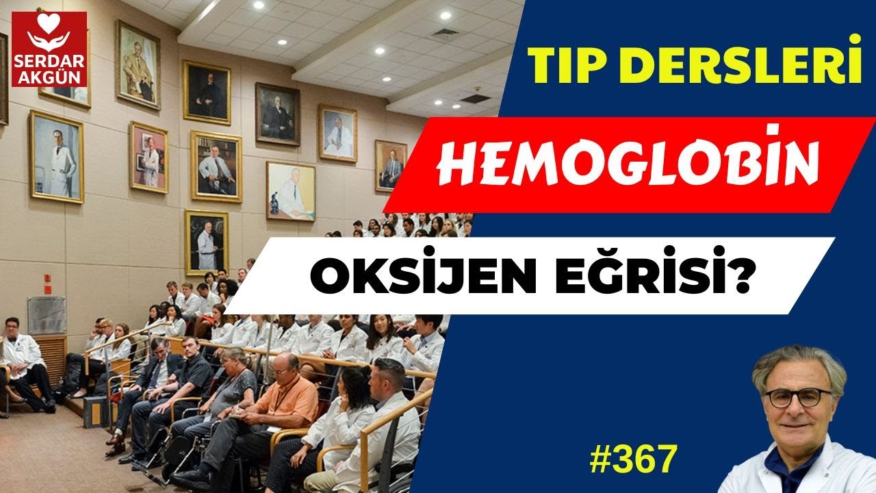 367. Hemoglobin ile oksijen taşınması, Hemoglobin Oksijen Eğrisi, Fizyoloji